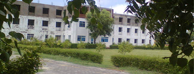 Collegeview